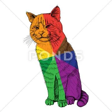 Isolated sitting multicolored cat on white - illustration Stock Illustration