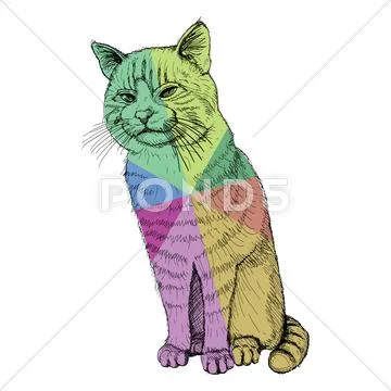 Isolated sitting multicolored cat on white - illustration Stock Illustration