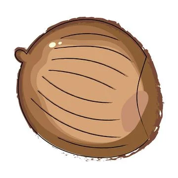 Isolated sketch of a coconut Vector Stock Illustration