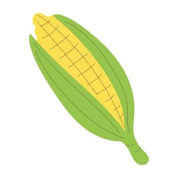 Isolated sketch of a corn Flat design Vector Stock Illustration