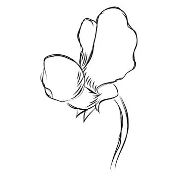 Isolated sketch of a flower Stock Illustration