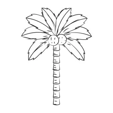 Isolated sketch of a palm tree Vector Stock Illustration