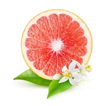 Isolated slice of pink grapefruit and grapefruit tree flowers Stock Photos