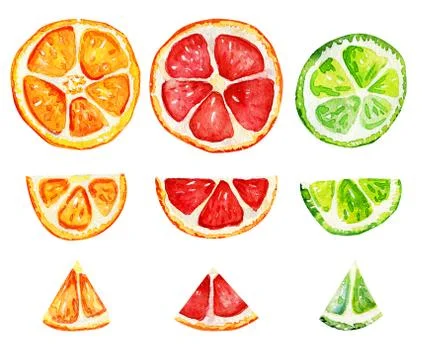 Isolated slices of orange, grapefruit and lime. Stock Illustration