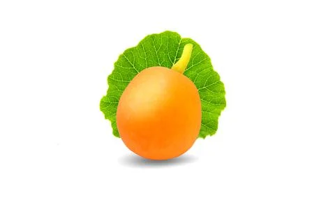 Isolated small pumpkin with green leaf. Studio shot of a nice ornamental pump Stock Photos
