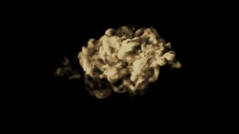 Isolated Smoke/Explosion with Alpha Matte Stock Footage 71146637