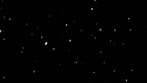 Isolated snow falling on black background Stock Footage 238061028