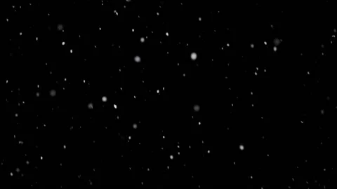 Isolated snow falling on black background Stock Footage 238061055