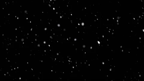 Isolated snow falling on black background Stock Footage 238061068