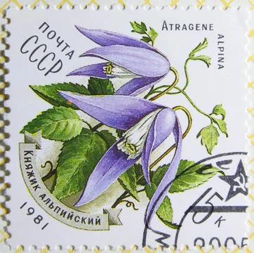 Isolated Soviet Union Stamp Stock Photos
