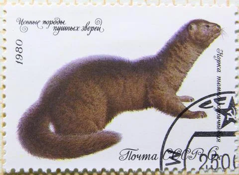 Isolated Soviet Union Stamp Stock Photos