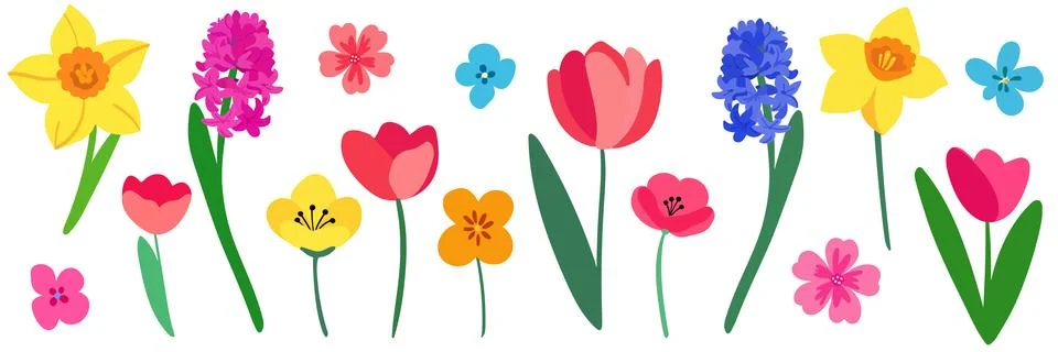 Isolated spring bright objects flowers vector elements hyacinths tulips daf.. Stock Illustration