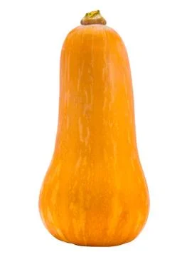 Isolated Squash On A White Background Stock-Fotos