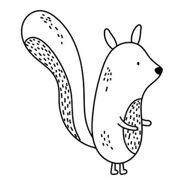 Isolated squirrel cartoon vector design Stock Illustration