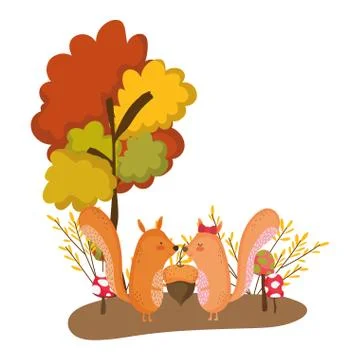 Isolated squirrel cartoon vector design Stock Illustration