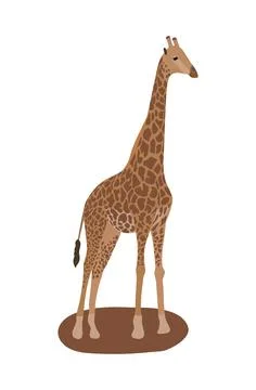 Isolated standing giraffe. Vector illustration in flat style Stock Illustration