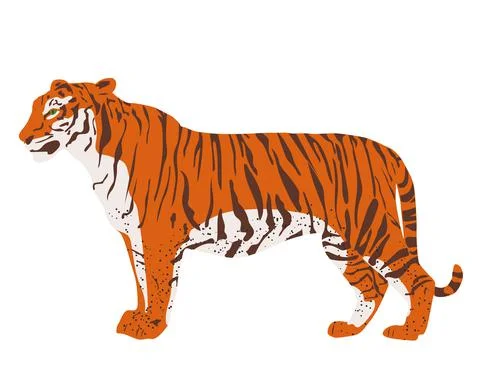 Isolated standing tiger. Vector illustration in flat style Illustrazione stock