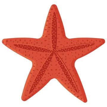 Isolated starfish. Color vector isolated illustration on a white background Stock Illustration