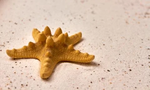 Isolated starfish in the sand Stock Photos