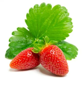 Isolated Strawberries Stock Photos