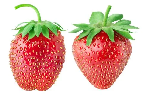 Isolated strawberry. Two different type of whole strawberry fruits isolated on Stock Photos