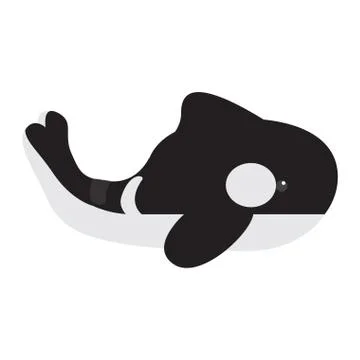 Isolated stuffed killer whale toy Stock Illustration