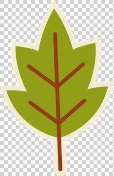 Isolated stylized green leaf floating on transparent canvas featuring cream Stock Illustration