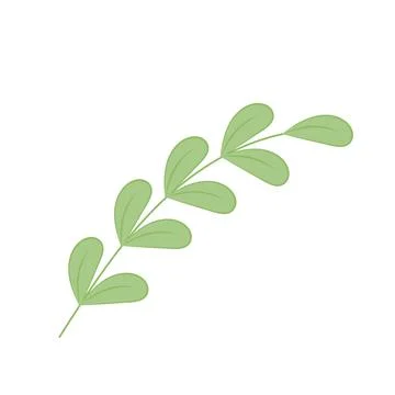 Isolated summer green leaf icon Vector Stock Illustration
