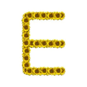 Isolated sunflower alphabet E Stock Photos