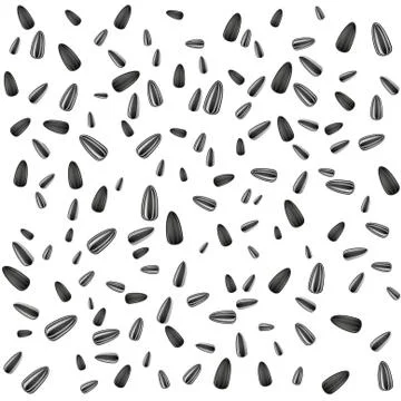 Isolated sunflower seed Stock Illustration