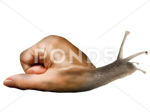 Isolated surreal snail Stock Illustration