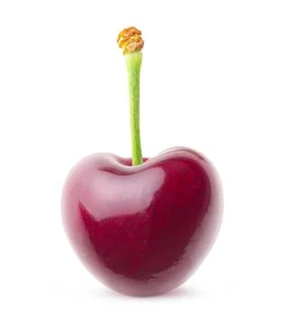 Isolated sweet cherry with short stem Foto stock