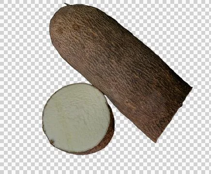 Isolated Tapioca on a transparent background  写真素材