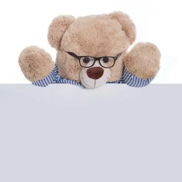Isolated teddy bear holding an empty sign or placard for advertising Stock Photos