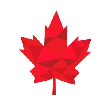 Isolated textured maple tree leaf 스톡 일러스트