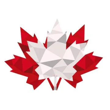 Isolated textured maple tree leaf 스톡 일러스트