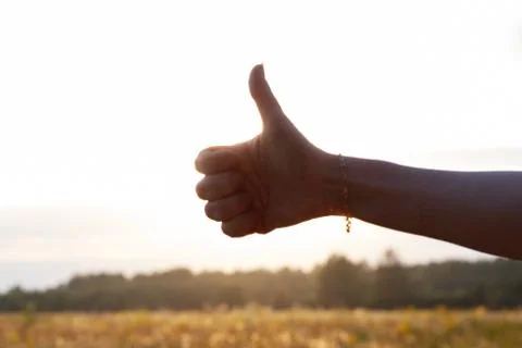 Isolated Thumb up at sunset in field Stock Photos