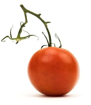 Isolated Tomato With Stem Stock Photos