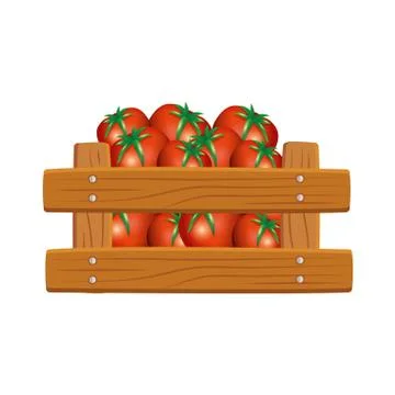 Isolated tomatoes inside box vector design Illustrazione stock