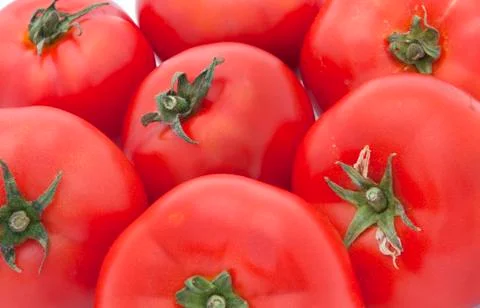 Isolated tomatoes Stock Photos