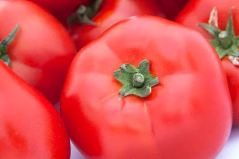 Isolated tomatoes Stock Photos