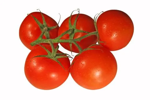 Isolated tomatoes on the white background Stock Photos