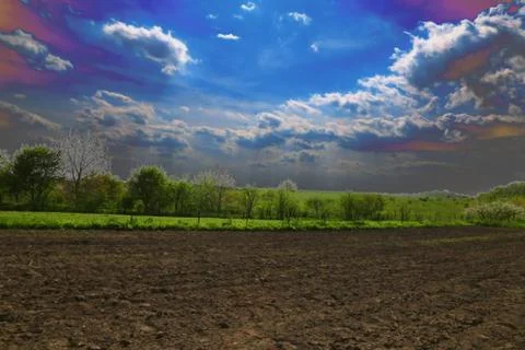 Isolated tree with blue sky background 库存照片