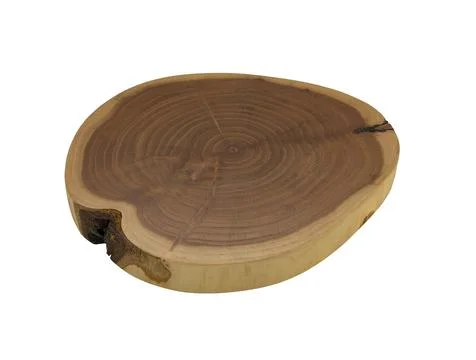 Isolated tree cross section with concentric lines and almost without bark Stock Photos