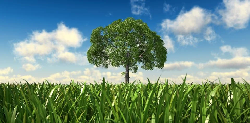 Isolated tree in a grass field, with nice clouds in the background. Illustrazione stock