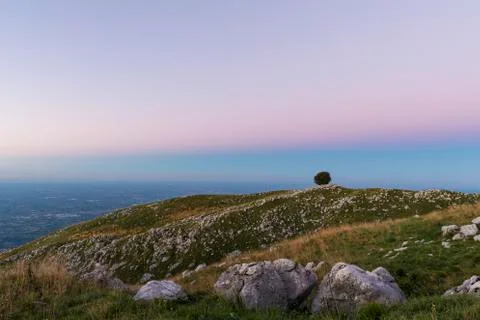 Isolated tree on Mount Pizzoc at dawn Stock Photos