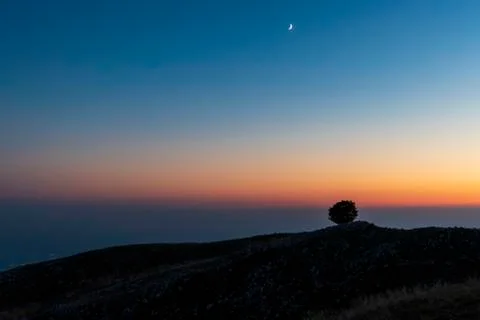 Isolated tree on Mount Pizzoc at sunset Stock Photos