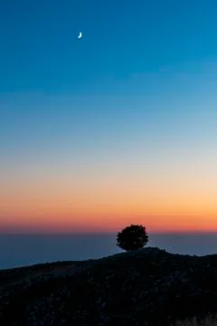 Isolated tree on Mount Pizzoc at sunset Stock Photos