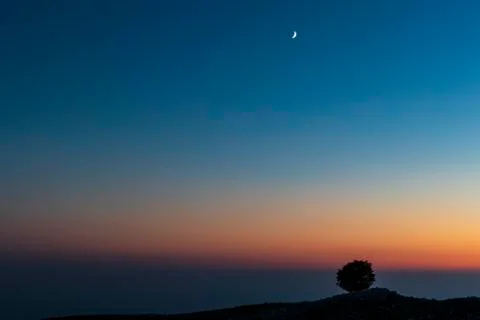 Isolated tree on Mount Pizzoc at sunset Stock Photos