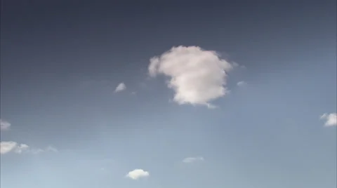 Isolated Tree by Road - Tilt Down Stock Footage 39589469